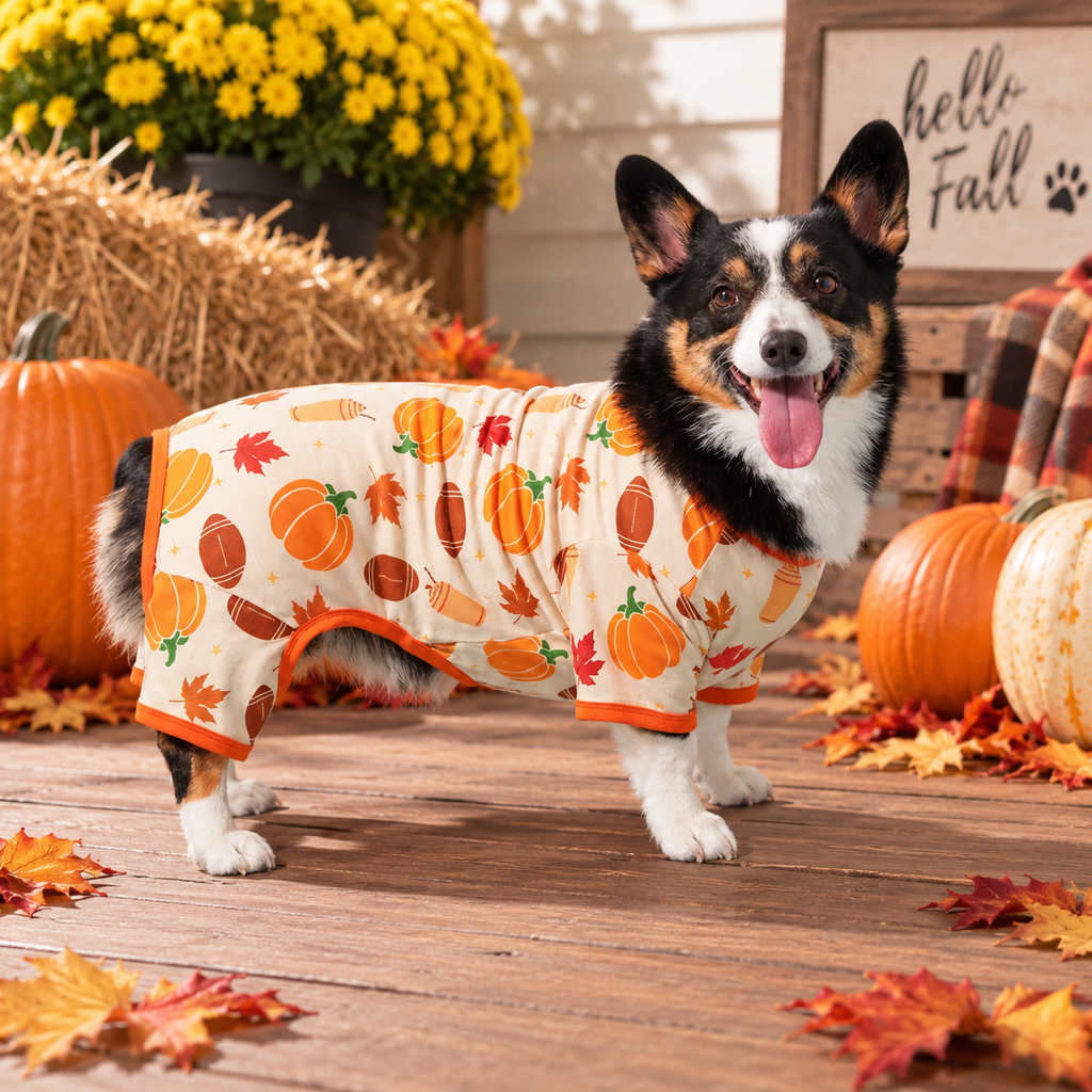 Pumpkin Pet Hoodie