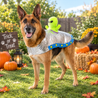 Alien Rider Pet Costume