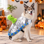 Alien Rider Pet Costume