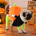 Pumpkin Carrier Dog Costume