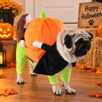 Pumpkin Carrier Dog Costume