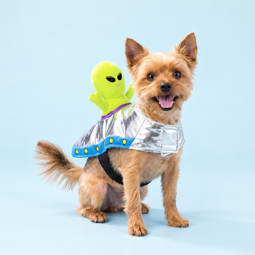 Alien Rider Pet Costume
