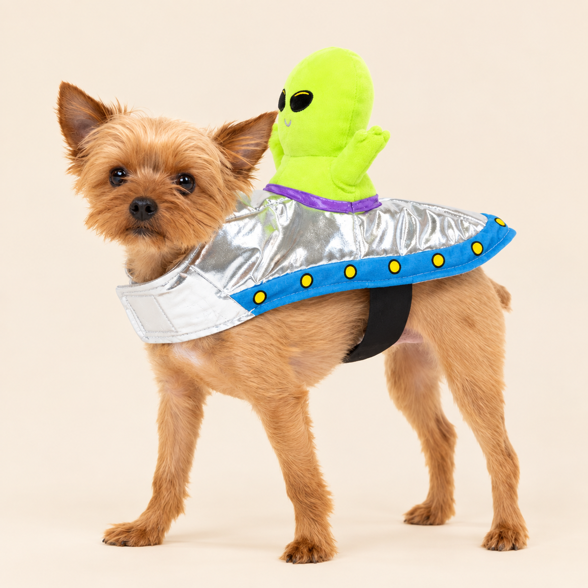 Alien Rider Pet Costume