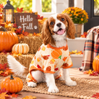 Pumpkin Pet Hoodie