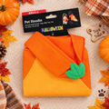 Little Pumpkin Pet Hoodie