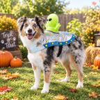 Alien Rider Pet Costume
